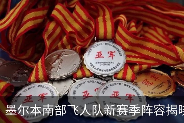 墨尔本南部飞人队新赛季阵容揭晓，王思雨倾情出镜